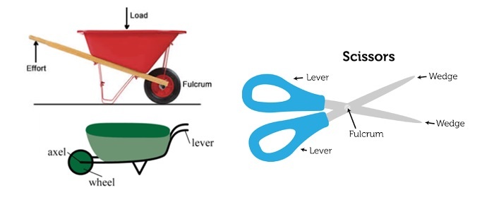 10 Examples Of Compound Machines In The Kitchen The Boffins Portal