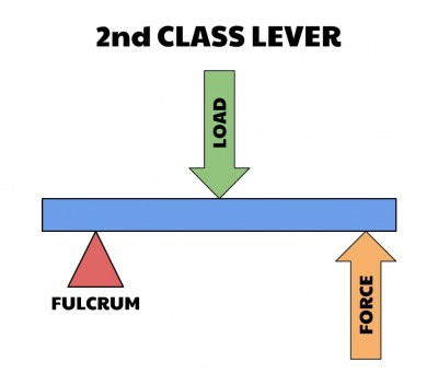 Second-Class Lever Examples