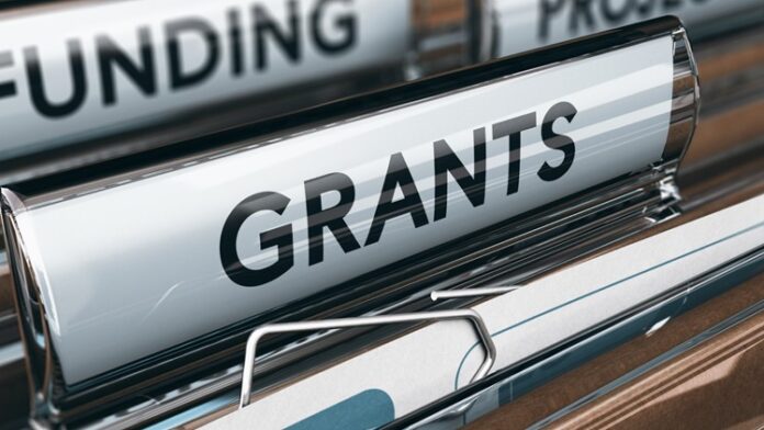 Perfect Categorical Grant Examples